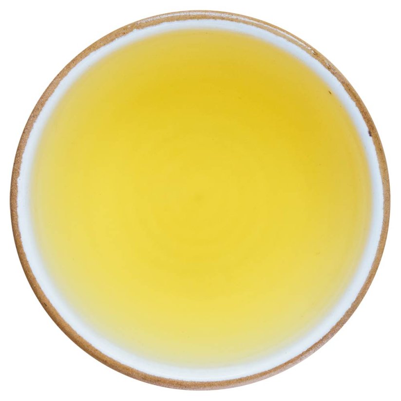Obrázek (1)
